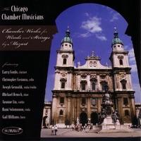 Quintet for Clarinet, Two Violins, Viola and Violoncello In a Major, K. 581: Allegretto Con Variazioni