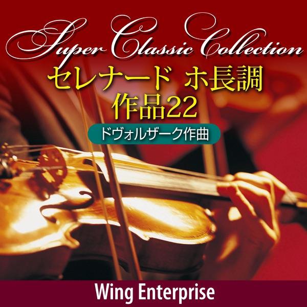 第1楽章 モデラート