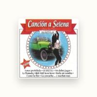 Banda San Antonio