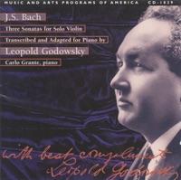 J.S. Bach - Violin Partita No. 1 in B Minor, BWV 1002: V. Sarabando