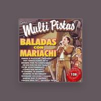 Mariachi Sayulas