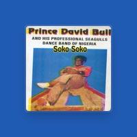 Prince David Bull