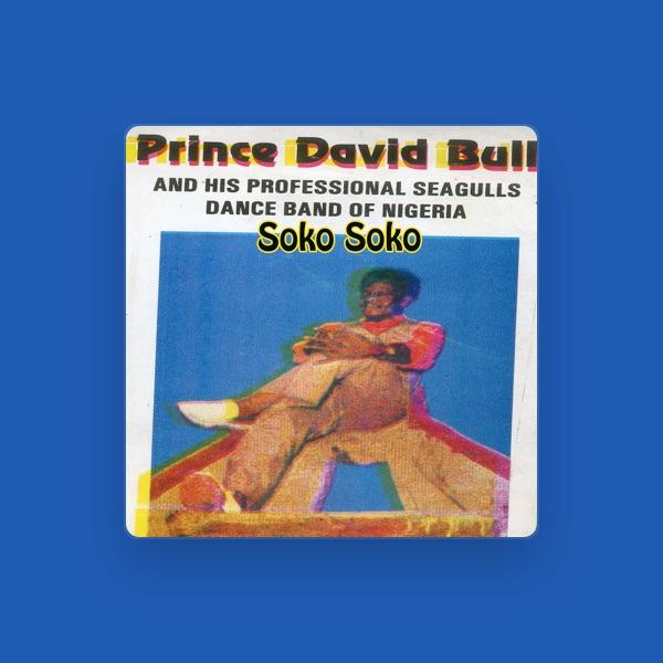 Prince David Bull