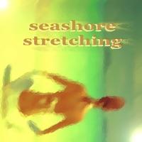 Free to Choose (Platona Ambient Chillout Dub)