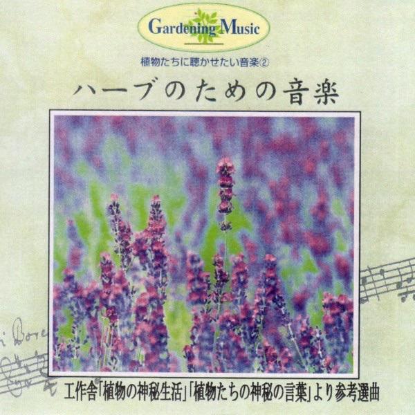 マンドリン協奏曲  R.425/第3楽章(ヴィヴァルディ)