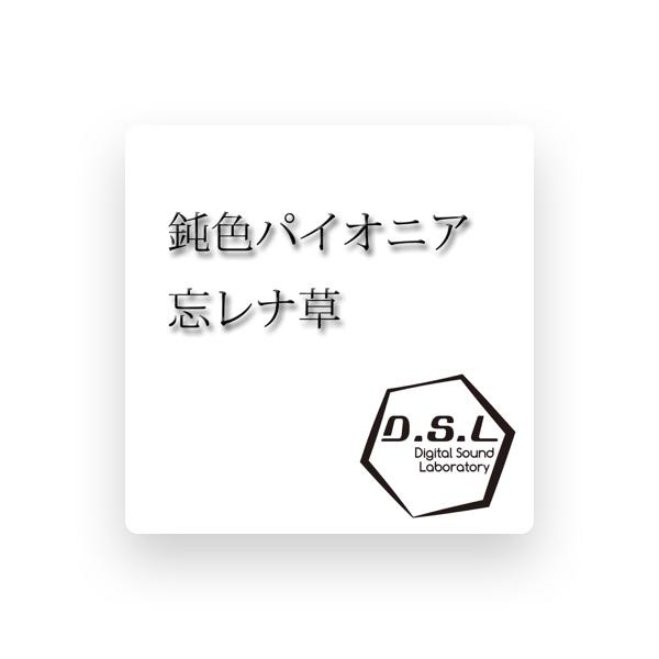 D.S.L