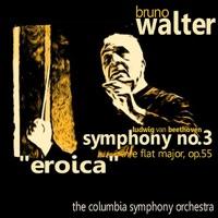 Symphony No. 3 in E-Flat Major, Op. 55 "Eroica": II. Marcia Funebre, Adagio Assai
