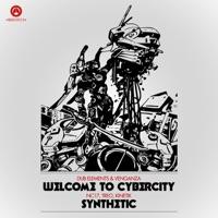 Welcome To Cybercity
