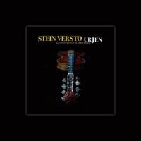 Stein Versto