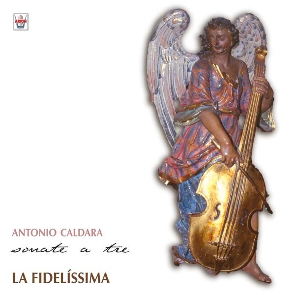 Sonata No. 11, en ré majeur: Adagio