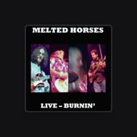 Melted Horses