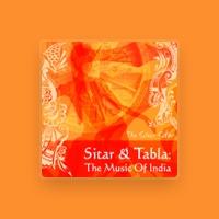 The Silver Sitar