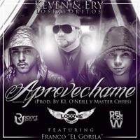 Aprovechame (feat. Franco El Gorila)