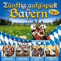 Wir musizieren von Herzen gern (Mit Vroni)