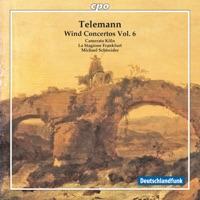 Concerto for 2 Oboes and Bassoon in D Major, TWV 53:C1, "Concerto alla francese": II. Tres vite