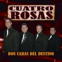 Esta Noche Voy A Ver La