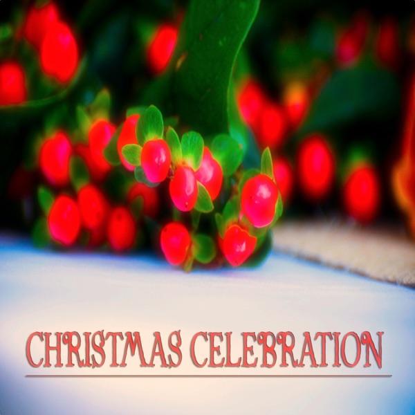 Xmas Celebration