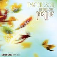 Dance Of Love (feat. JSOUL) [Dub Mix]