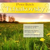 Romance in F Minor, Op. 5