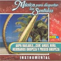 Mosaico: Roberto Ruiz - La Piña Madura