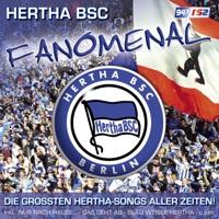 Immer wieder Hertha