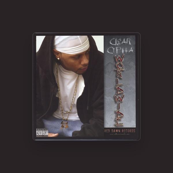 Cigar Cypha