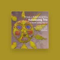 Tcha Limberger's Kalotaszeg Trio