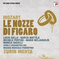 Le nozze di Figaro, K. 492: Act I, N. 1 Duettino: Cinque... dieci... venti... trenta... (Michele Pertusi, Marie McLaughlin) [Voice]