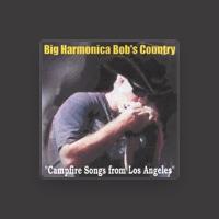 Big Harmonica Bob