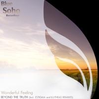 Beyond The Truth (Illitheas Remix)