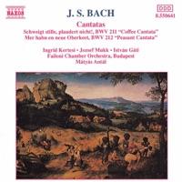Schweigt stille, plaudert nicht, BWV 211, "Coffee Cantata": Recitativo: Schweigt stille