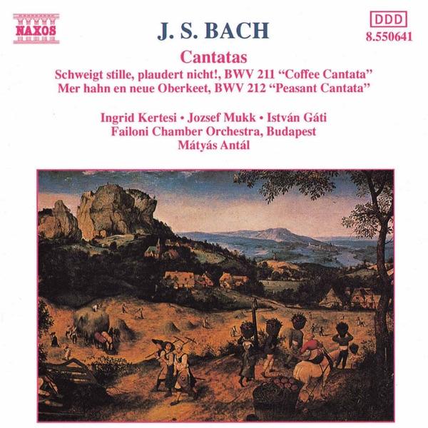 Schweigt stille, plaudert nicht, BWV 211, "Coffee Cantata": Aria: Hat man nicht mit seinen Kindern