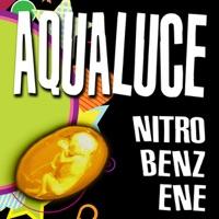 Nitrobenzene (Double Energy Dub Mix)