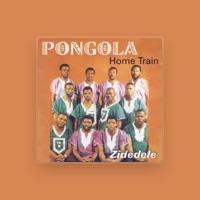 Pongola Home Train