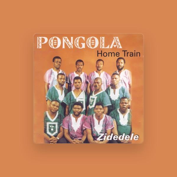 Pongola Home Train