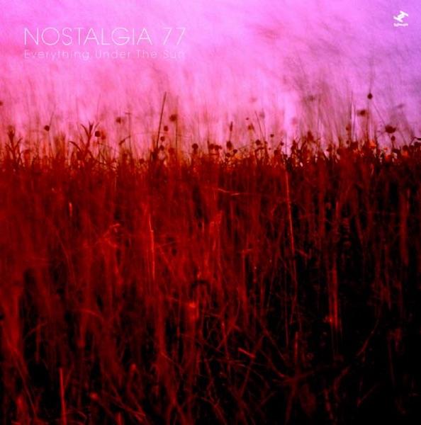 Wildflower