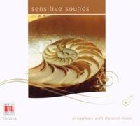 Concerto for Ottavino, Strings and Harpsichord in C Major: 2. Largo