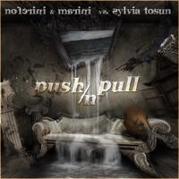 Push N Pull (Menini & Viani Mix)