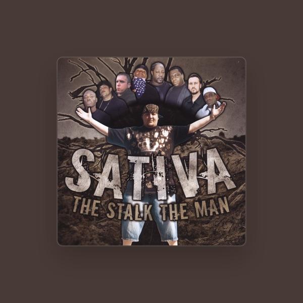 Sativa