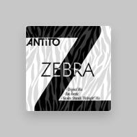 AnTiTo