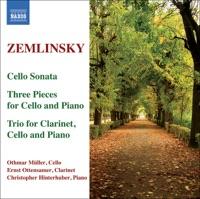 Trio for Clarinet, Cello and Piano in D Minor, Op. 3: I. Allegro Ma Non Troppo