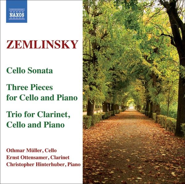 Cello Sonata in A Minor: I. Mit Leidenschaft