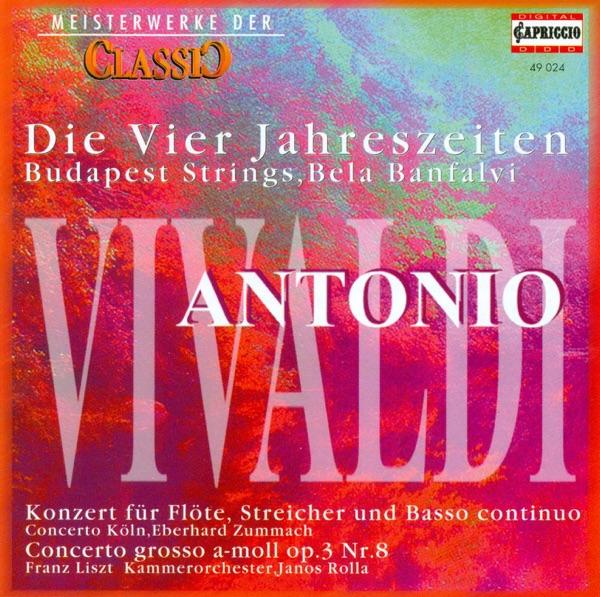 Flute Concerto in G minor, Op. 10, No. 2, RV 439, "La notte": III. Allegro