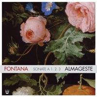 Sonata terzadecima, Per due violini e fagotto