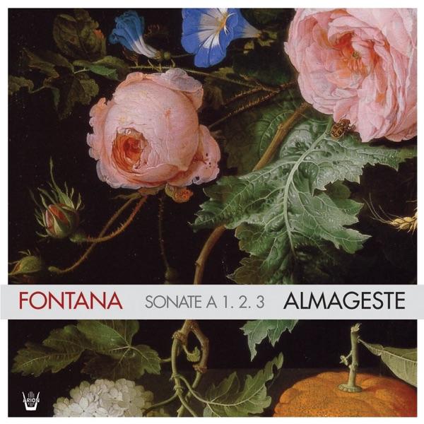 Sonata terzadecima, Per due violini e fagotto