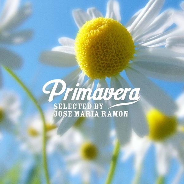 Pastime paradise (Soulful Cut)