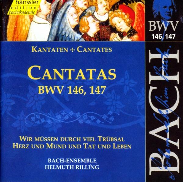 Wir Mussen Durch Viel Trubsal, BWV 146: Sinfonia