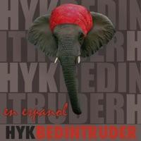 Bed Intruder (Discoteca En Español)