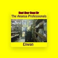 The Anansa Professionals