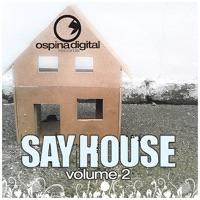 Don't Make Me Wait (Ospina & Oscar P Remix)